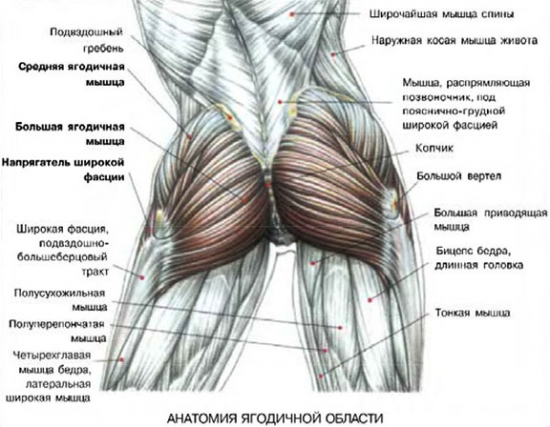 Комплекс Упражнений Для Пресса В Домашних Условиях