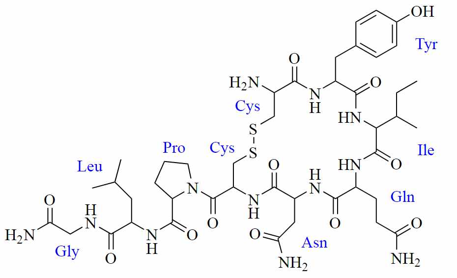 peptids