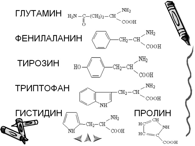 0011-011-Glutamin-fenilalanin-tirozin-triptofan-gistidin-prolin