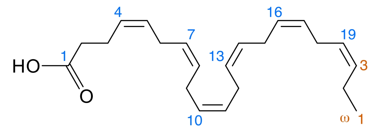 2000px-DHA_numbers.svg_