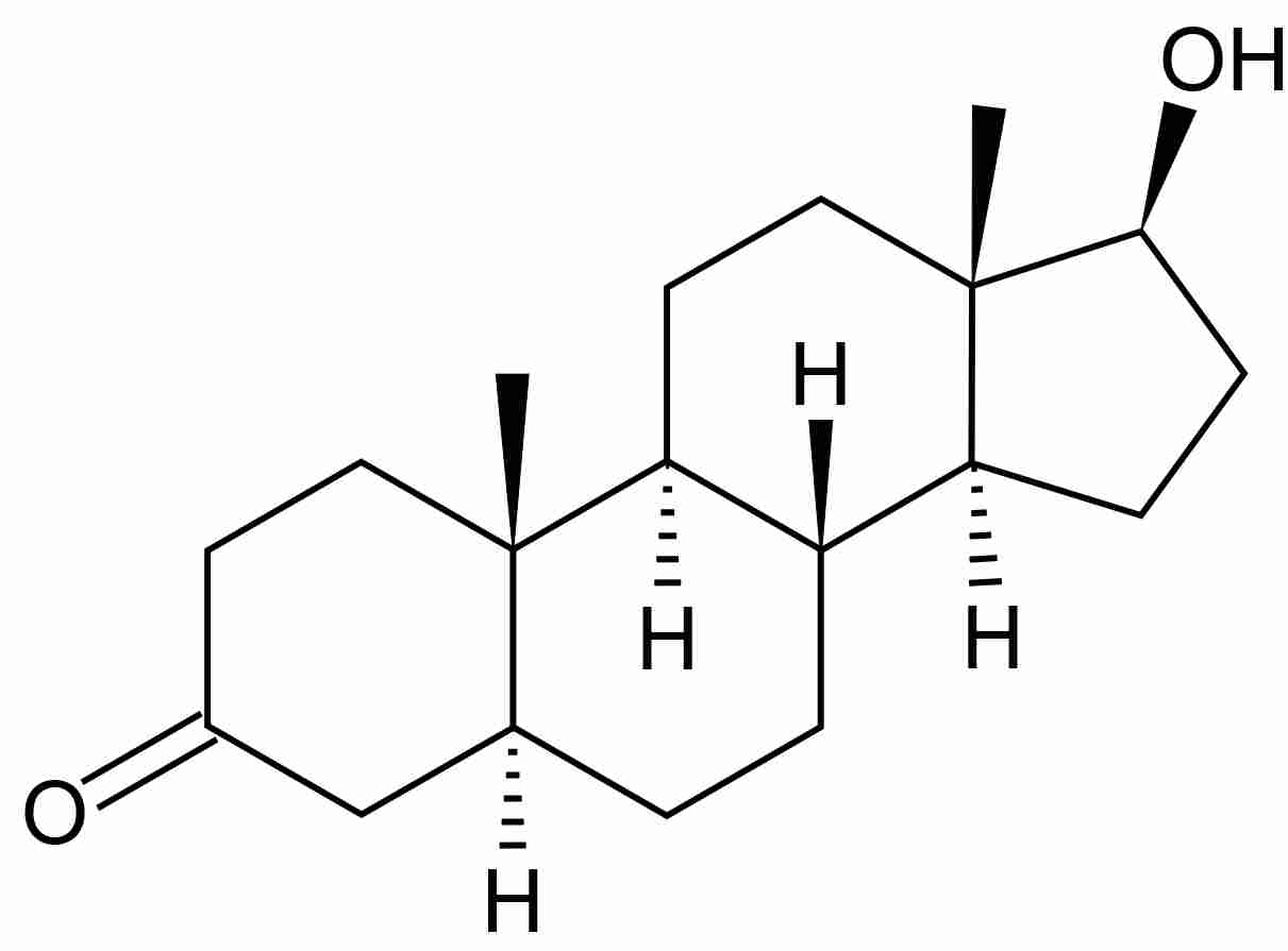 digidrotest